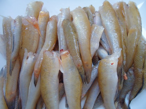 Cá bống sốt cay ngọt lạ miệng, trôi cơm