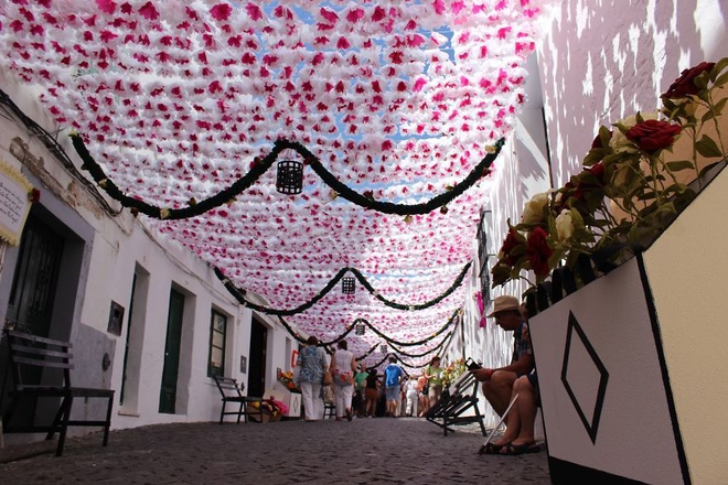 Hàng vạn bông hoa bằng giấy đẹp lung linh trên đường phố