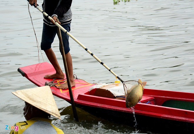 Cá thả phóng sinh bị vợt ngay trước mặt trên sông Sài Gòn