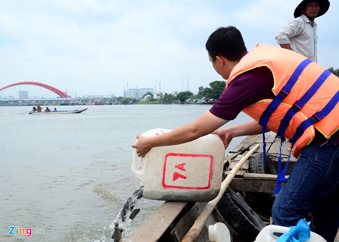 Cá thả phóng sinh bị vợt ngay trước mặt trên sông Sài Gòn