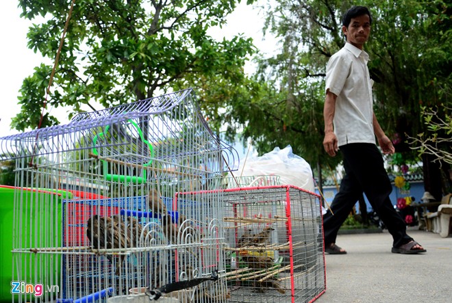 Cá thả phóng sinh bị vợt ngay trước mặt trên sông Sài Gòn