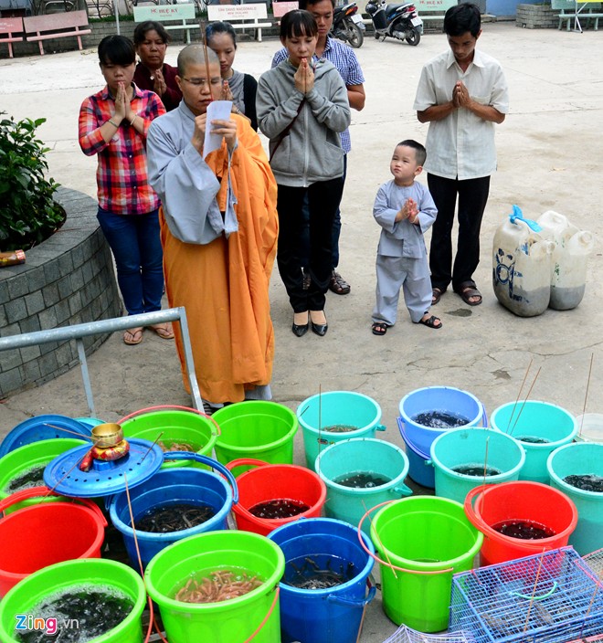 Cá thả phóng sinh bị vợt ngay trước mặt trên sông Sài Gòn