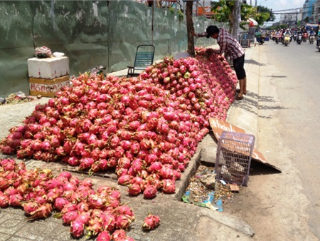 Thanh long ‘10.000 đồng 4kg’ bán đổ đống ở Sài Gòn