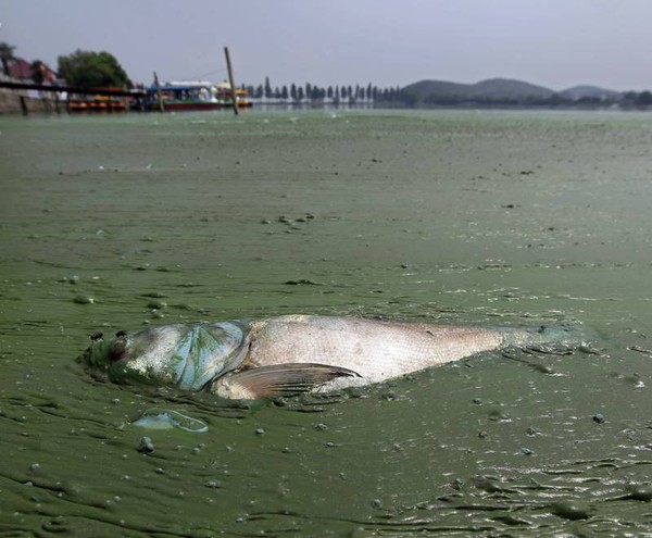 Chùm ảnh: Trung Quốc đang ô nhiễm khủng khiếp đến mức nào?