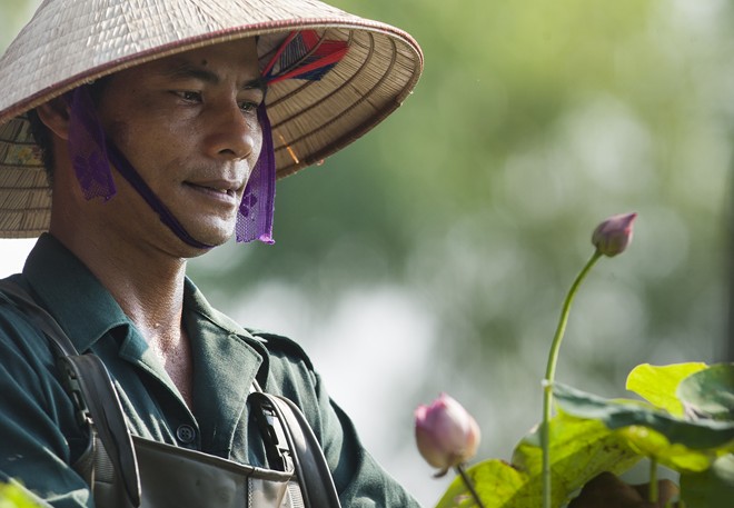 Đầm sen có 12 loài quý hiếm ở ngoại thành Hà Nội