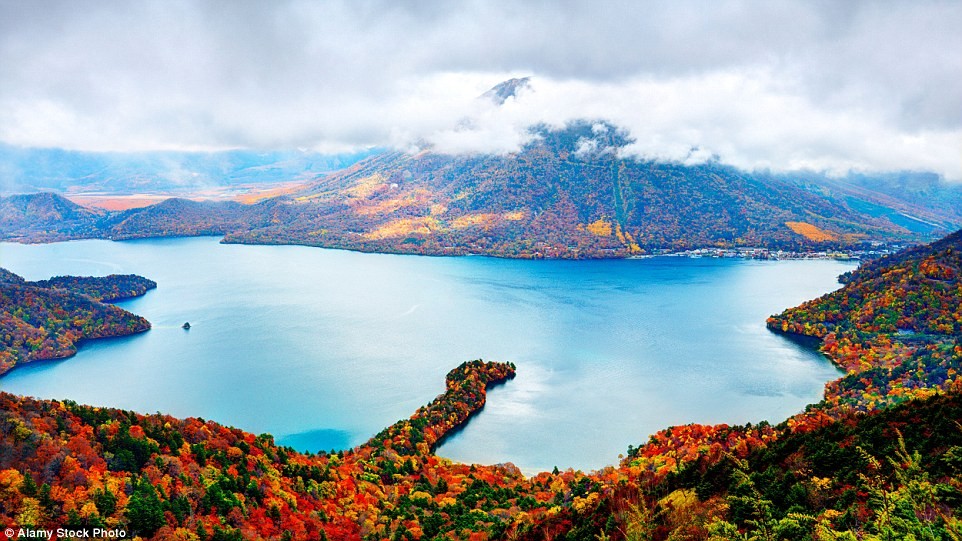 Những bức tranh 'mùa thu vàng' tuyệt đẹp ở các nước