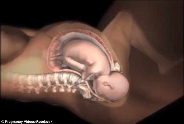 Sự điều chỉnh kì diệu của cơ thể người mẹ khi sinh nở