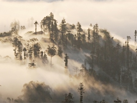 Những điểm du lịch có 'đặc sản' sương mù