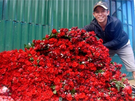 Hoa hồng Đà Lạt tăng giá gấp 2-3 lần ngày cận lễ